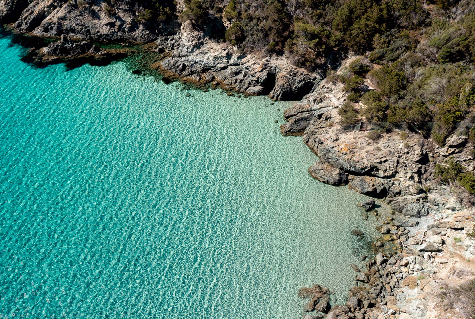 mare